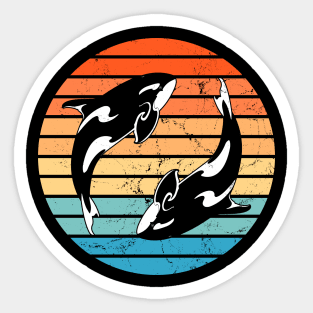 Cute Orca Killer Whales Vintage Sunset Sticker